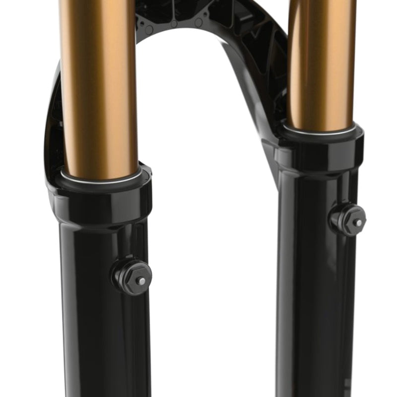Fox 36 Float 29" Factory E-Optimized 2025 - Shiny Black