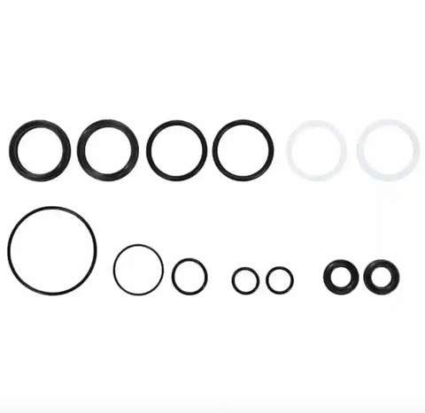 Cannondale Lefty Oliver ISO 100hr Seal Kit