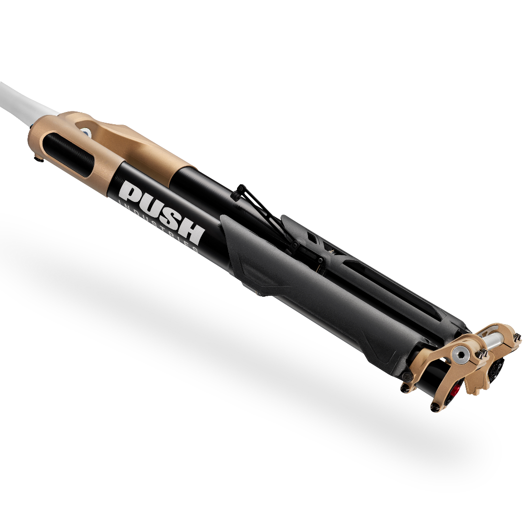 PUSH Nine.One Fork 29" - Bronze V2