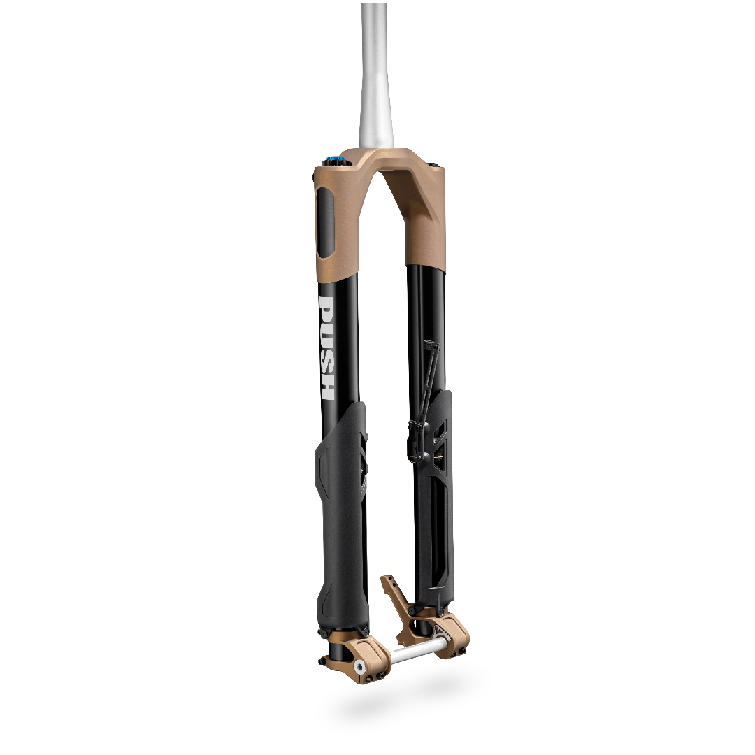 PUSH Nine.One Fork 29" - Bronze V2