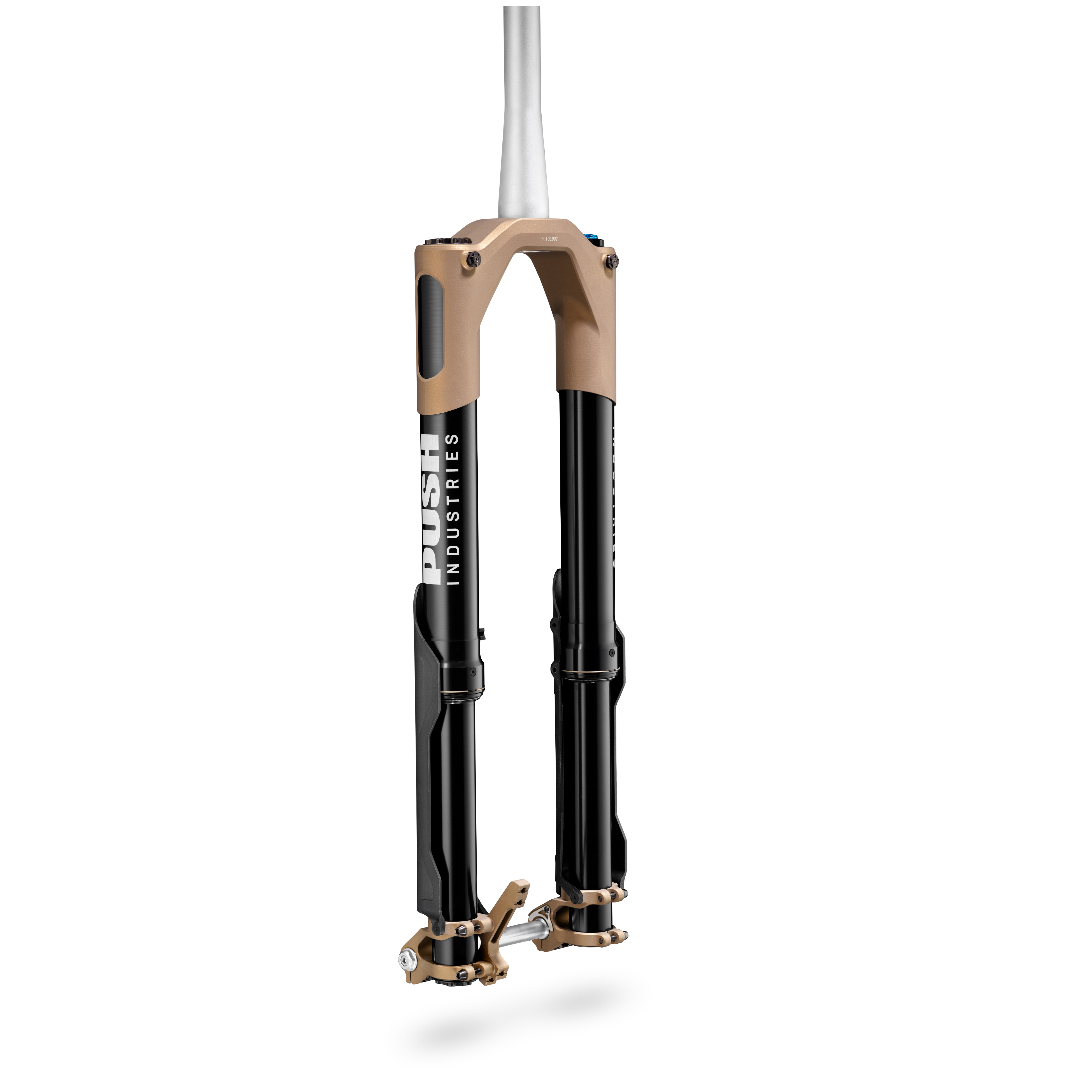 PUSH Nine.One Fork 29" - Bronze V2