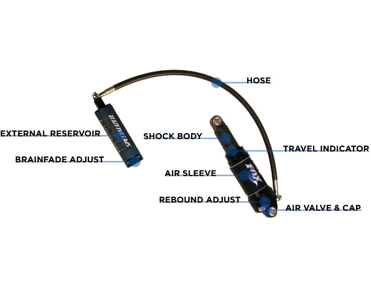 Specialized Brain History / Service / Upgrades