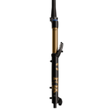 Fox 38 Float 29" Factory 2027 - Shiny Black E-Optimized
