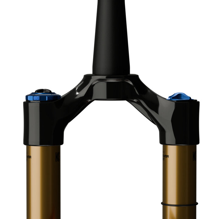 Fox 36 Float SL Factory 29" Shiny Black - 2026