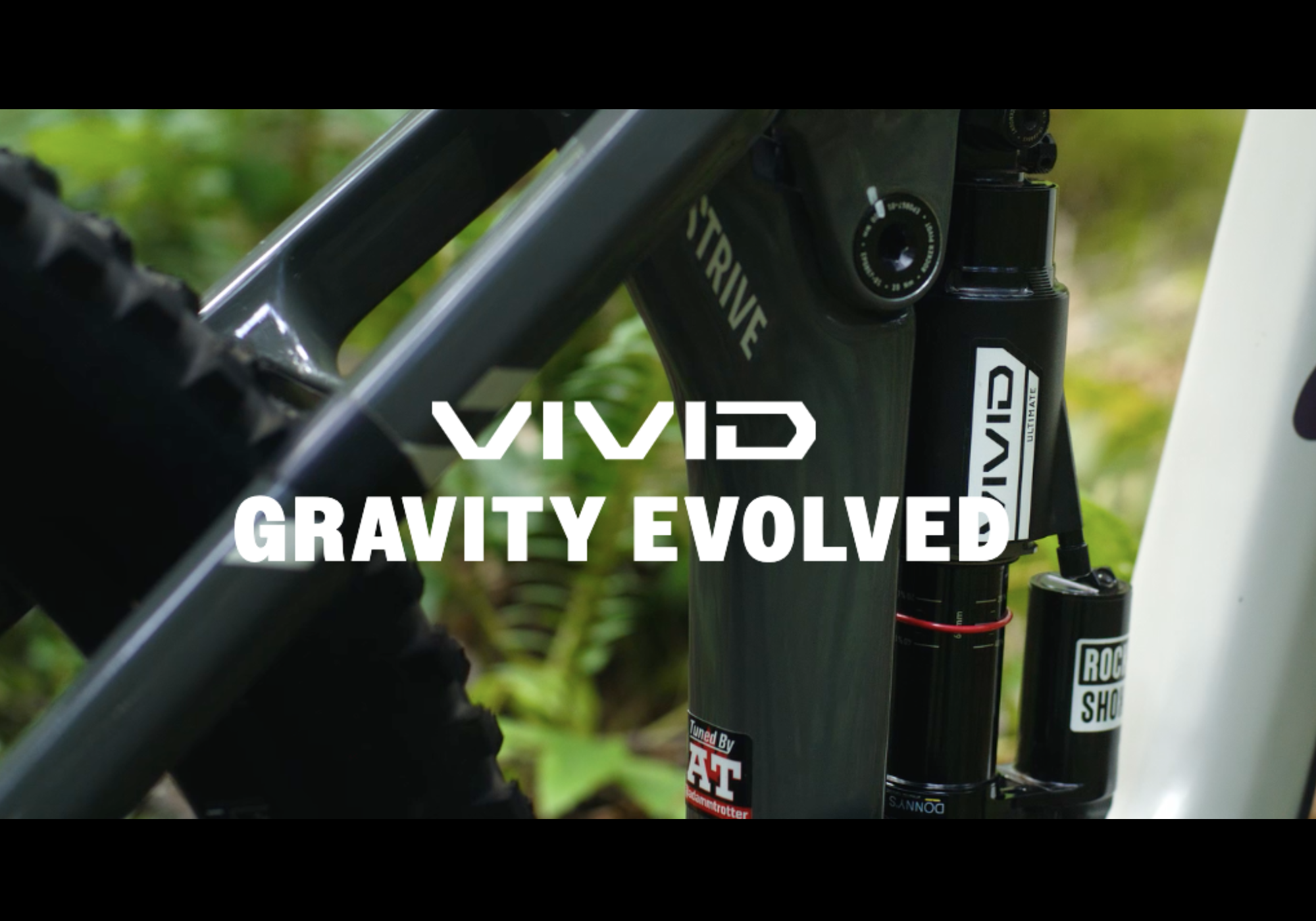 Cyclinic MTB Suspension Sales Service Support. Worldwide Service